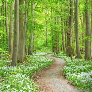 Anastasia Irene Brown